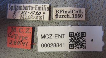 Media type: image;   Entomology 28841 Aspect: labels